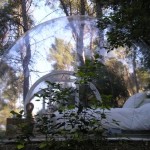 Carpa transparente 7m